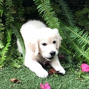 Meet your Posher, Zoë